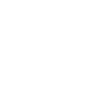 528cpf icon