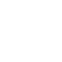 528cpf icon