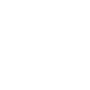528cpf icon