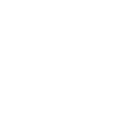 528cpf icon