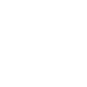 528cpf icon