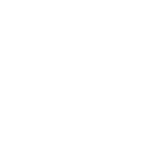 528cpf icon