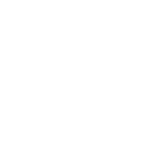 528cpf icon