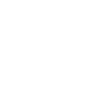 528cpf icon